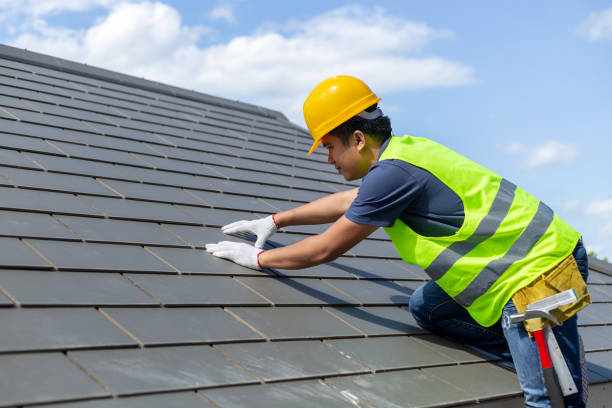 Gutter Installation and Roofing in Shackle Island, TN