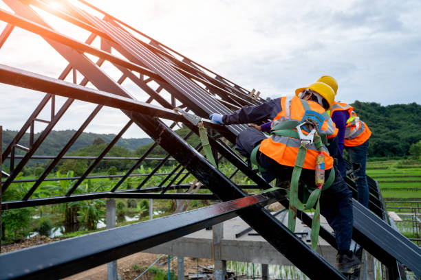 Best Roof Gutter Cleaning  in Shackle Island, TN