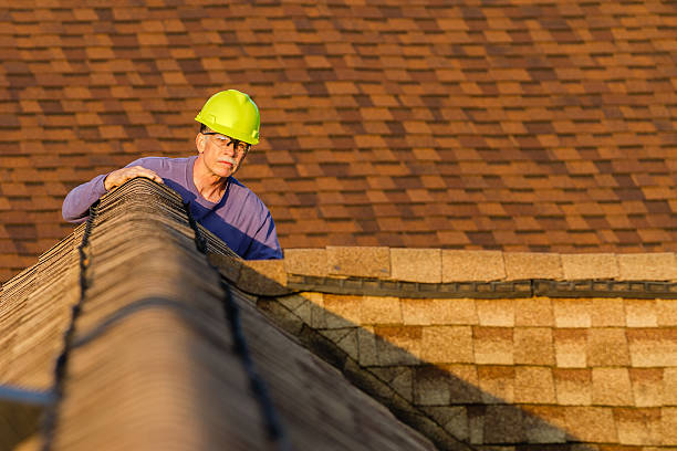 Best Storm Damage Roof Repair  in Shackle Island, TN