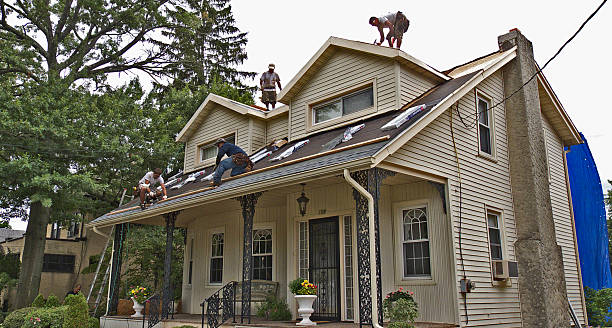 Best Local Roofing Companies  in Shackle Island, TN