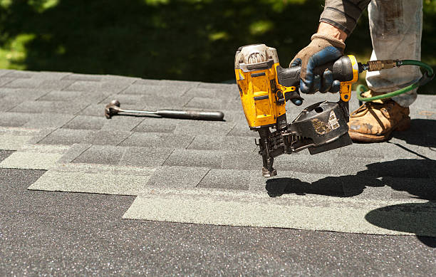 Roof Waterproofing Services in Shackle Island, TN