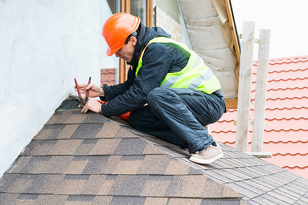 Best Commercial Roofing Services  in Shackle Island, TN