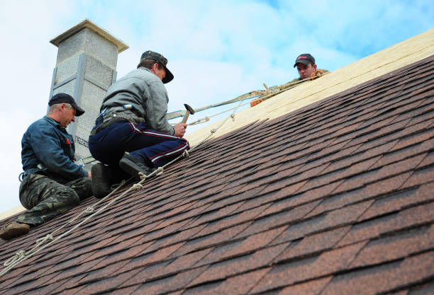 Quick and Trustworthy Emergency Roof Repair Services in Shackle Island, TN
