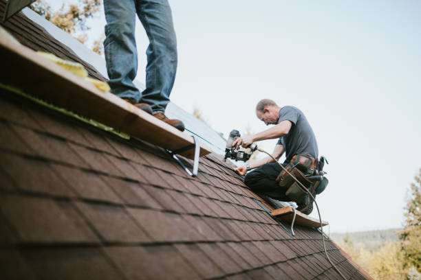 Best Commercial Roofing Services  in Shackle Island, TN